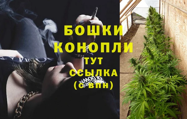 mdma Краснослободск