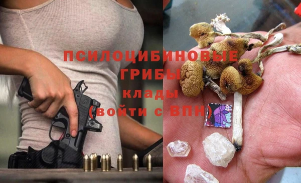 ГАЛЛЮЦИНОГЕННЫЕ ГРИБЫ Красноперекопск