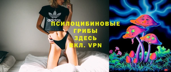 ГАЛЛЮЦИНОГЕННЫЕ ГРИБЫ Красноперекопск