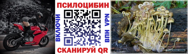 Псилоцибиновые грибы ЛСД  Стерлитамак 