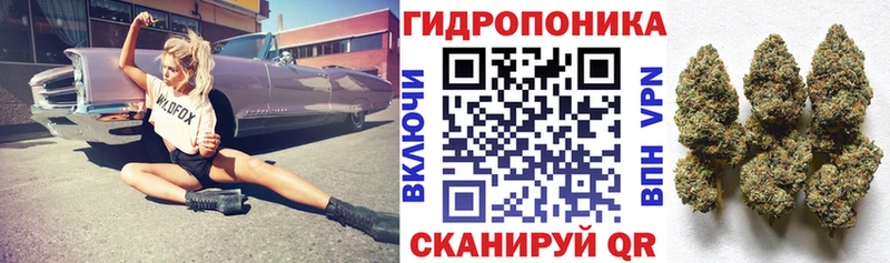 Марихуана семена  ссылка на мегу зеркало  Стерлитамак  купить наркотики цена 
